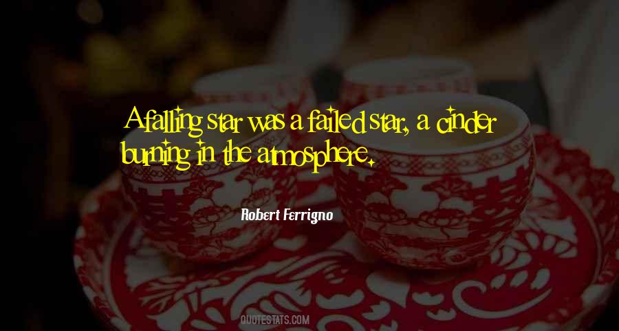 Quotes About A Falling Star #1254501