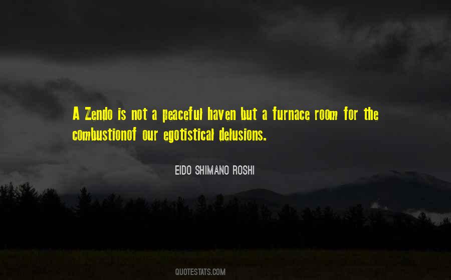 Zendo Quotes #864477