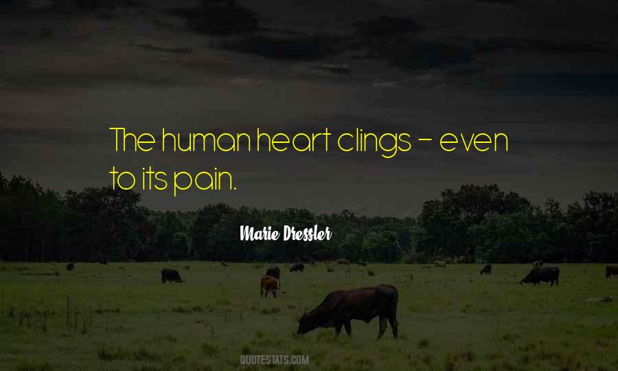 Zeniths Quotes #1724955