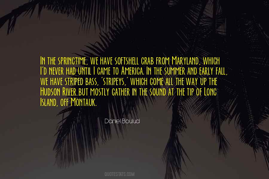 Zenocrates Quotes #1335538