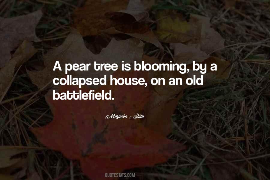 Quotes About A Tree House #887080