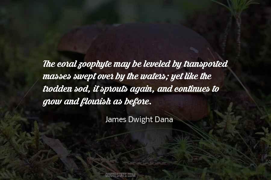 Zoophyte Quotes #1687731