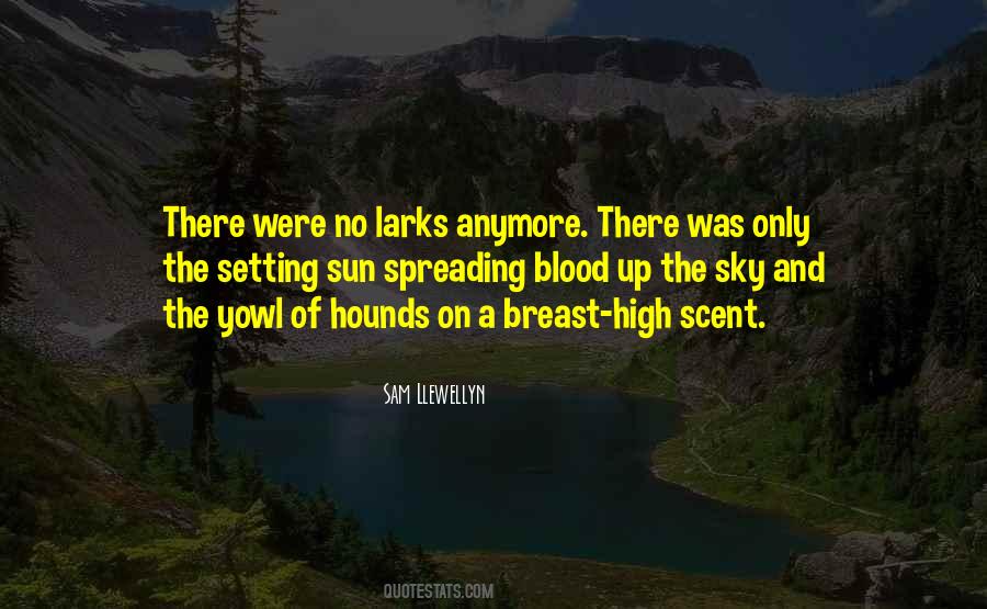 Zort Quotes #237358