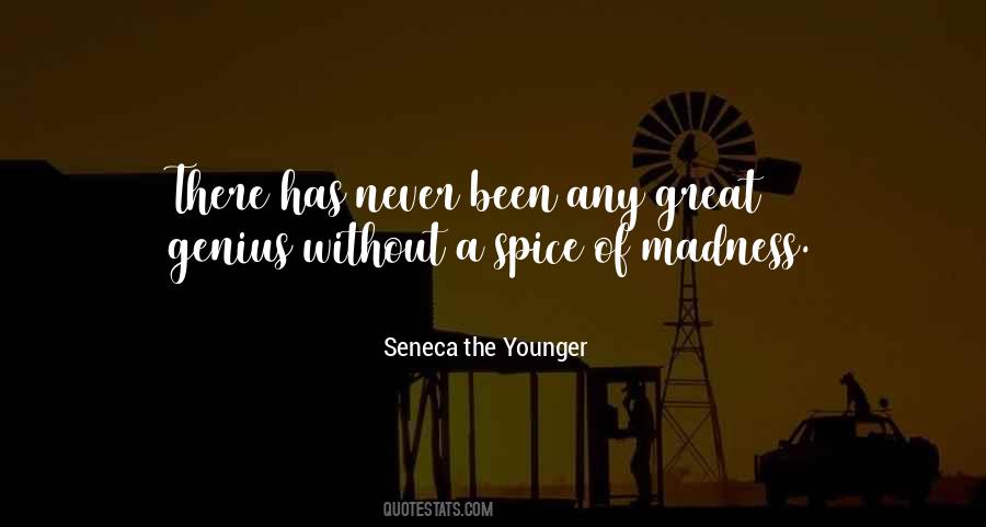 Sayings About Madness Genius #1074732
