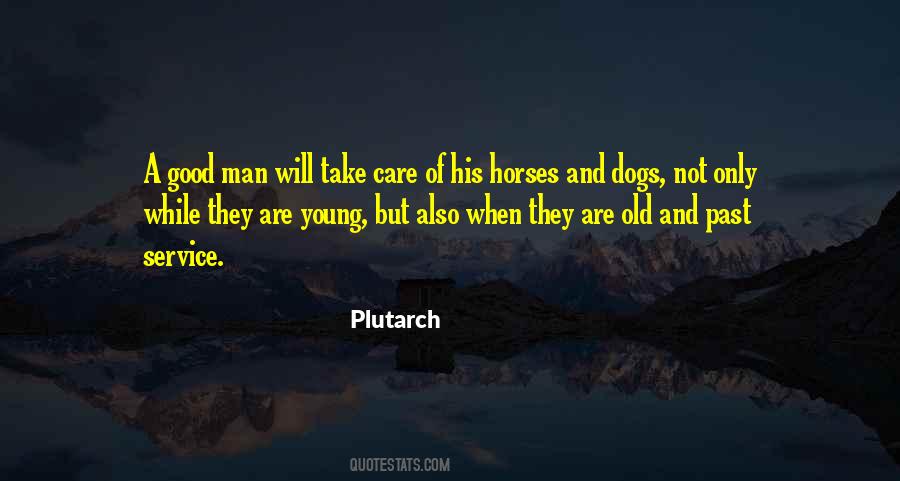Sayings About Old Horses #1180843