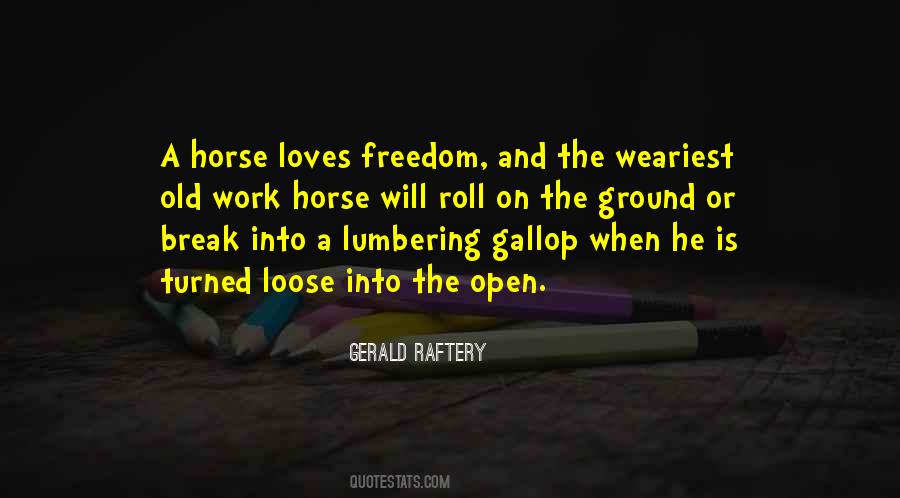Sayings About Old Horses #1247307