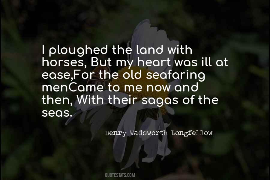 Sayings About Old Horses #1534390