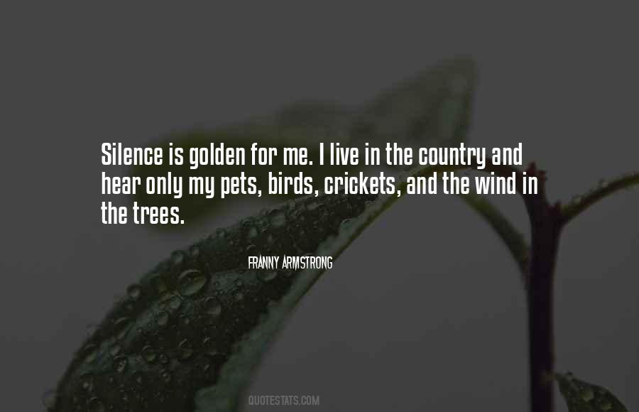 Sayings About Silence Silence Is Golden #1753539