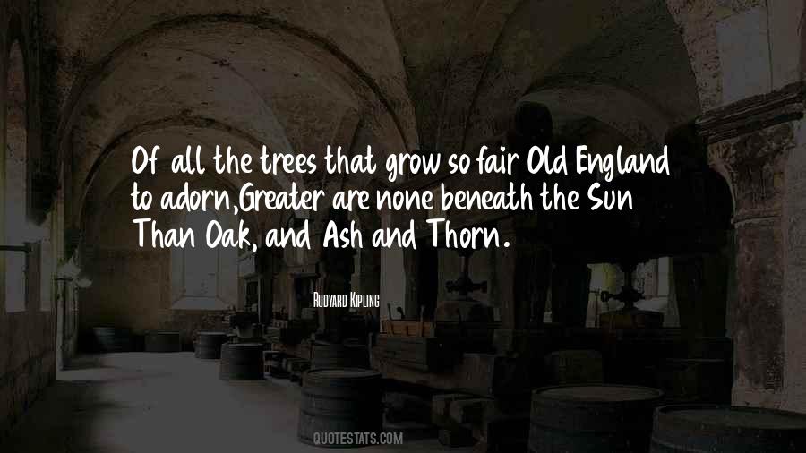 Sayings About Old Trees #109477