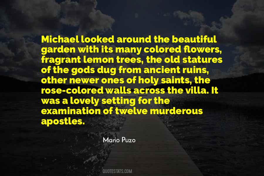 Sayings About Old Trees #1209224