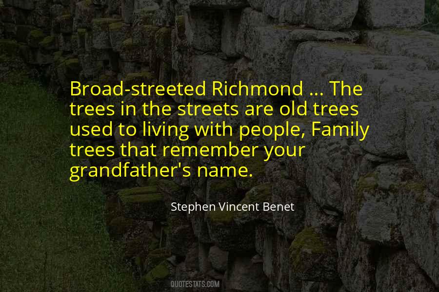 Sayings About Old Trees #121180