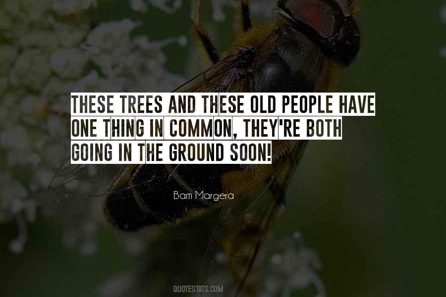 Sayings About Old Trees #1376893
