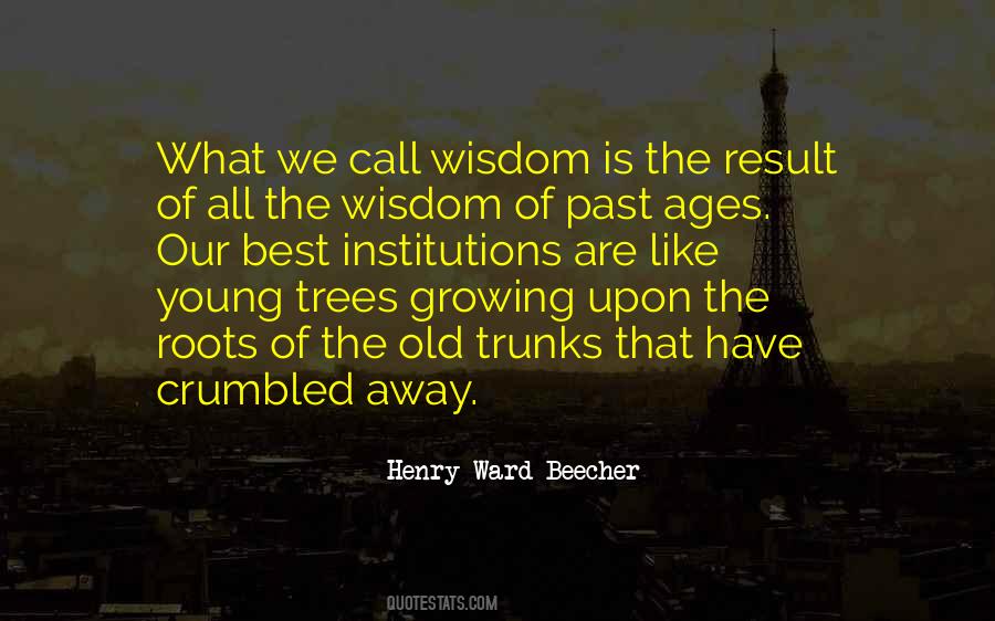 Sayings About Old Trees #1407632