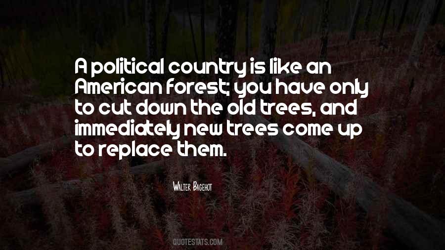 Sayings About Old Trees #1763557
