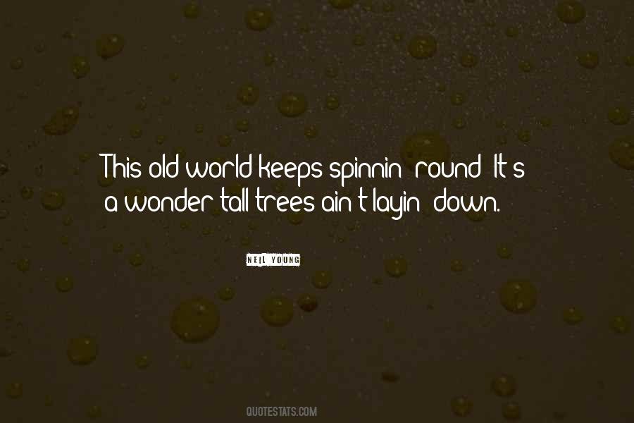 Sayings About Old Trees #460109