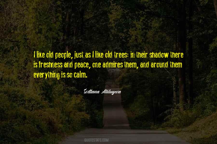 Sayings About Old Trees #773116