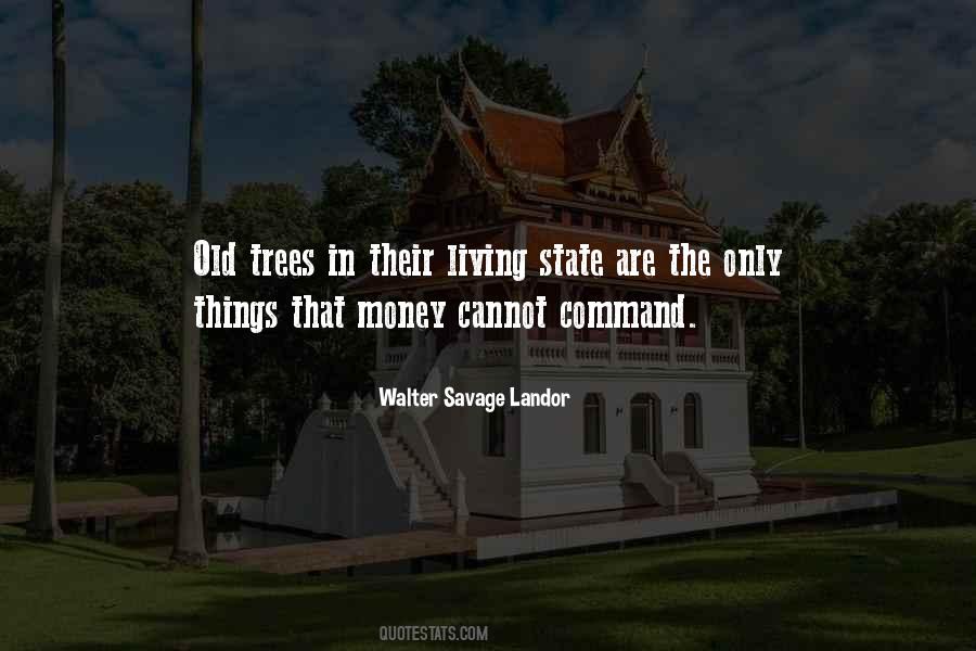 Sayings About Old Trees #77863