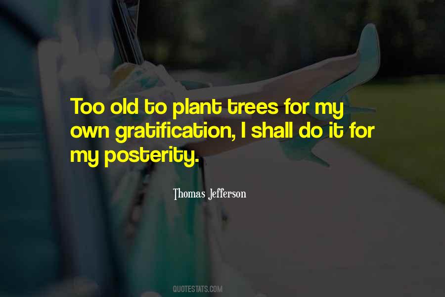 Sayings About Old Trees #839392