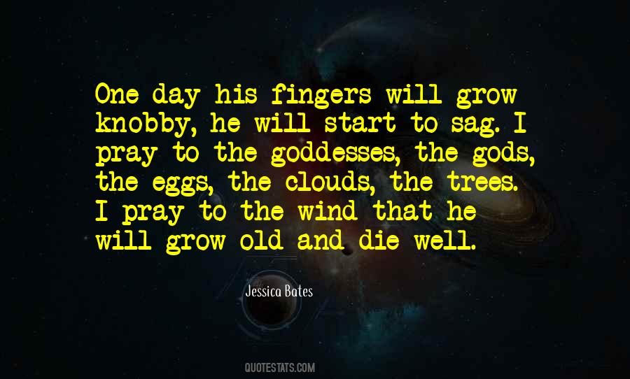 Sayings About Old Trees #852744