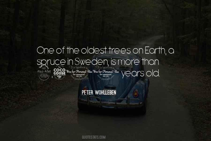 Sayings About Old Trees #903081