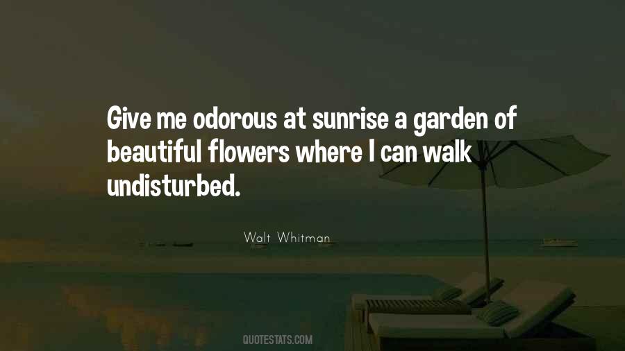 Sayings About A Garden #857826