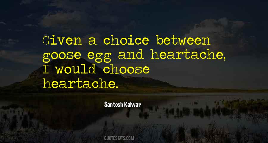 Sayings About A Goose #528041