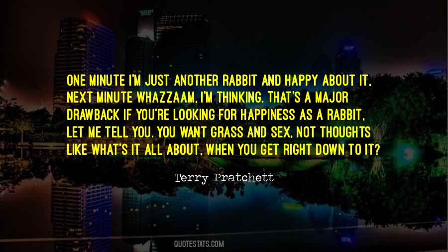 Sayings About A Rabbit #117009