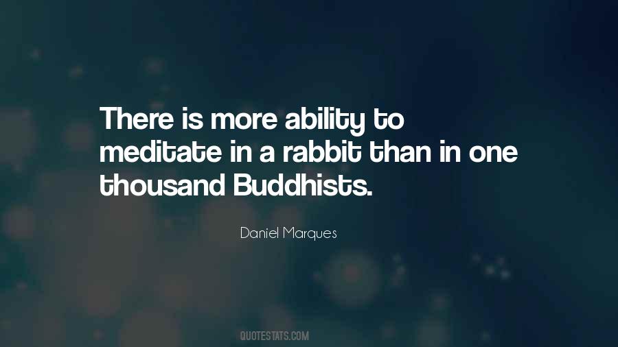 Sayings About A Rabbit #1245120