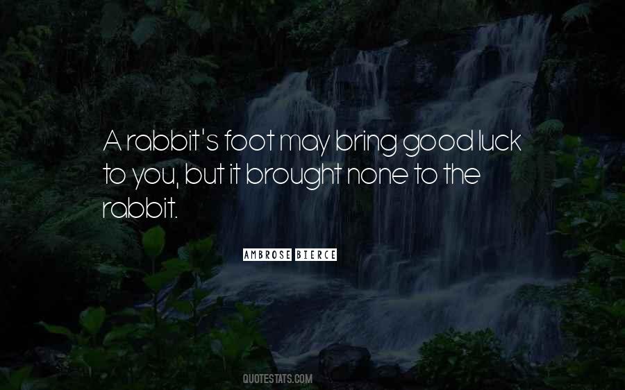 Sayings About A Rabbit #1253210