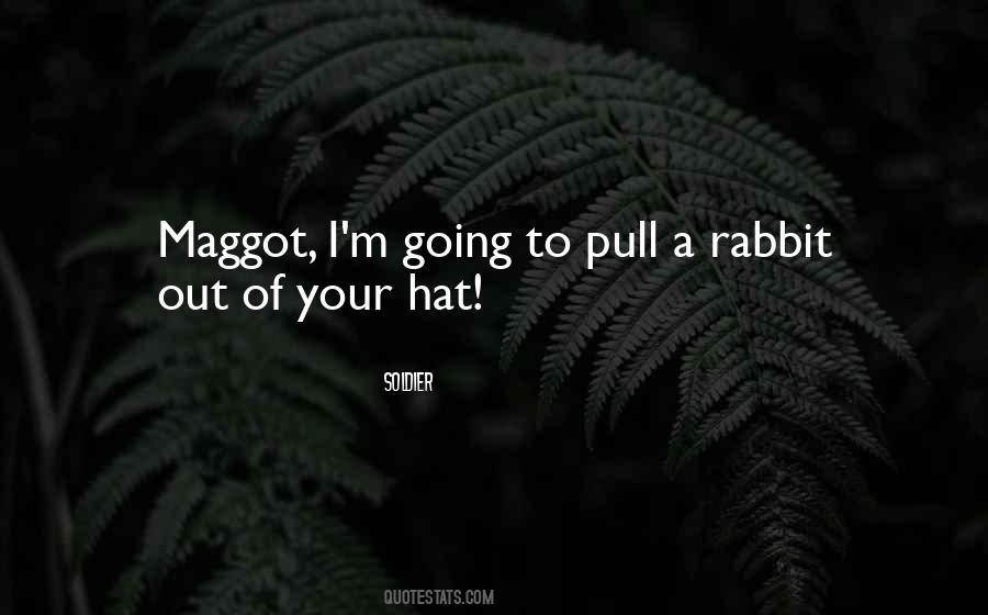 Sayings About A Rabbit #1297908