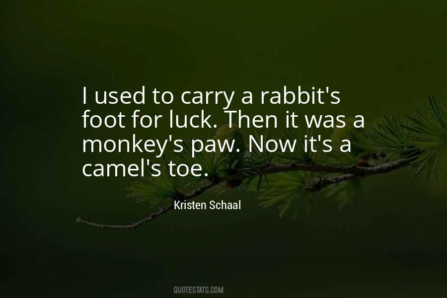 Sayings About A Rabbit #1309204