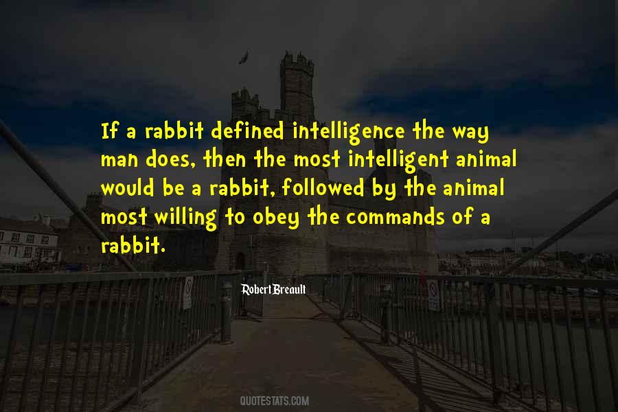 Sayings About A Rabbit #1335879