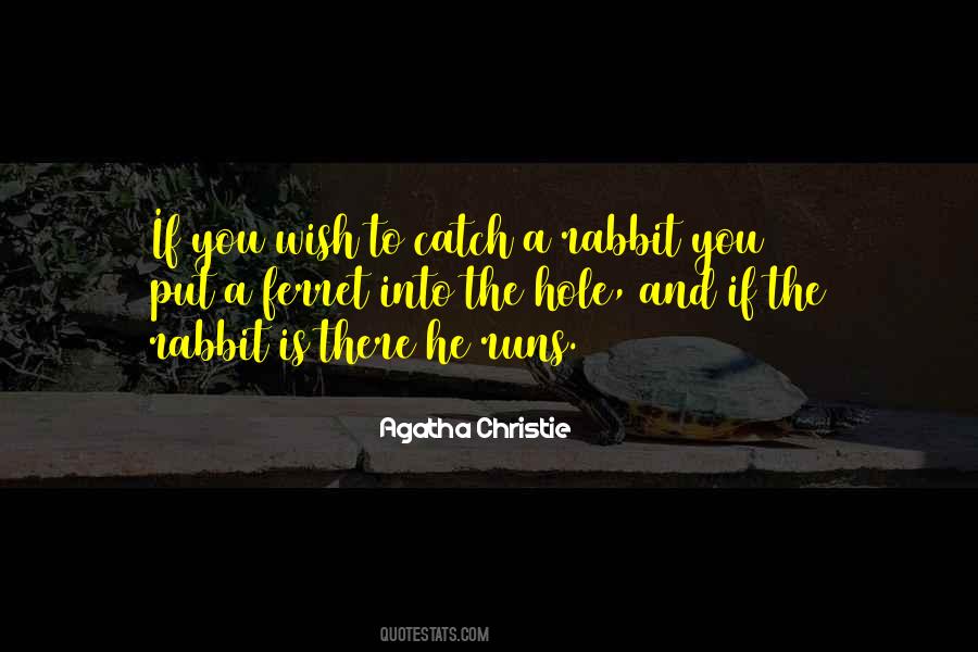 Sayings About A Rabbit #1470531