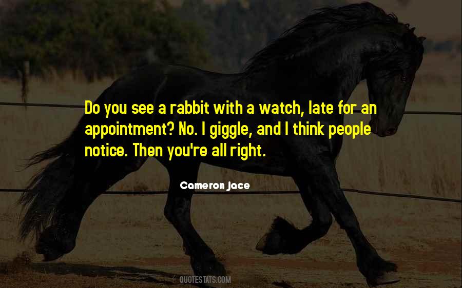 Sayings About A Rabbit #90181