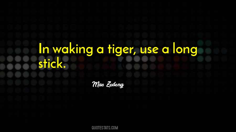 Sayings About A Tiger #1144010