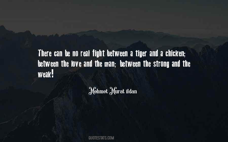 Sayings About A Tiger #1388843