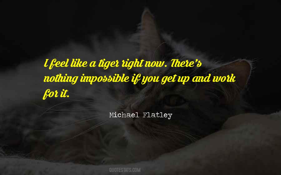 Sayings About A Tiger #1500052