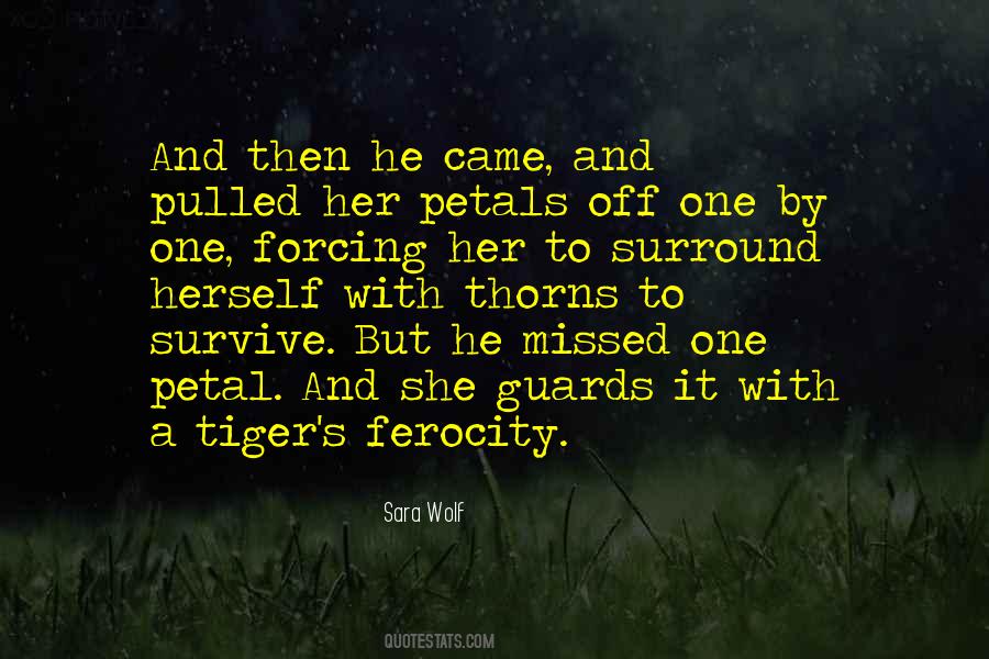 Sayings About A Tiger #1830702
