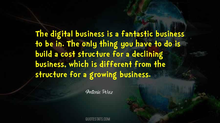 Sayings About Growing A Business #1430125