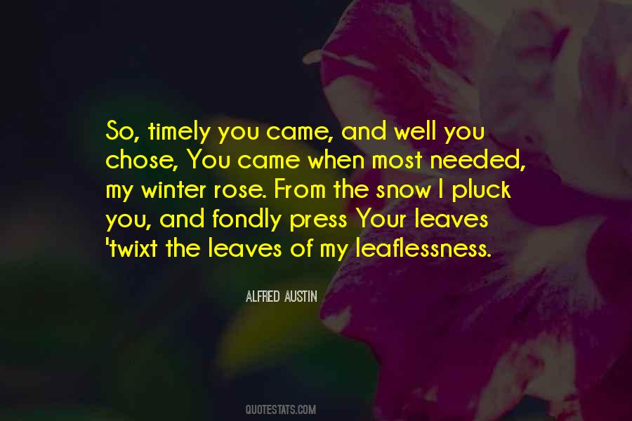 Sayings About Snow Winter #784810