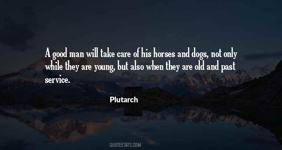 Sayings About A Man And His Horse #1180843