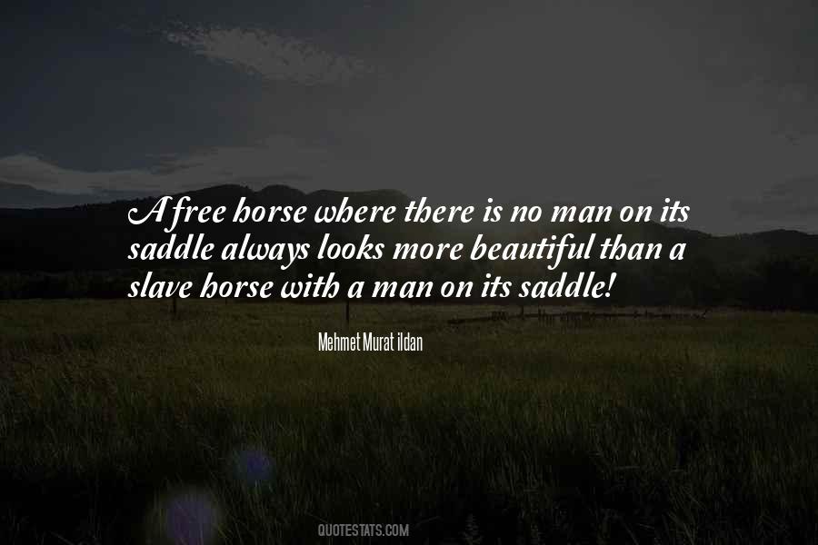 Sayings About A Man And His Horse #283105