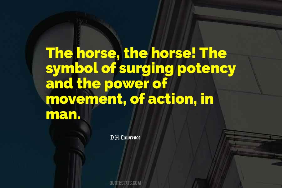 Sayings About A Man And His Horse #480150