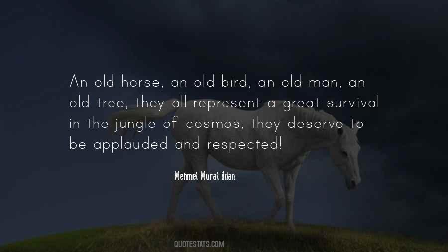 Sayings About A Man And His Horse #507473