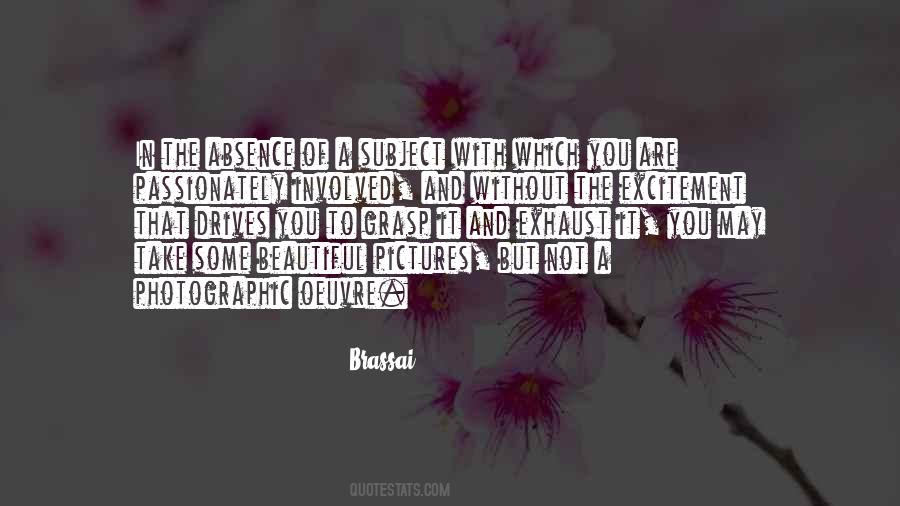 Sayings About Beautiful Pictures #866375