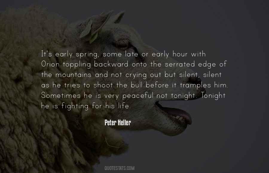 Sayings About Bull Fighting #228464