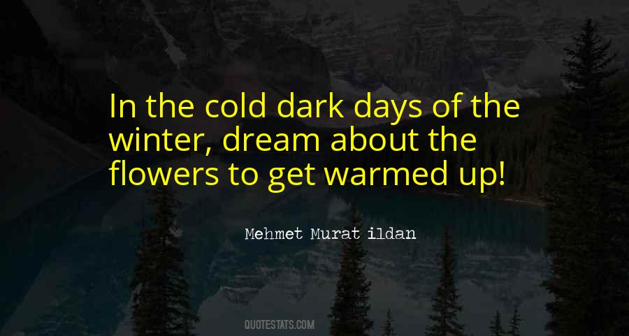 Sayings About Cold Days #1626688