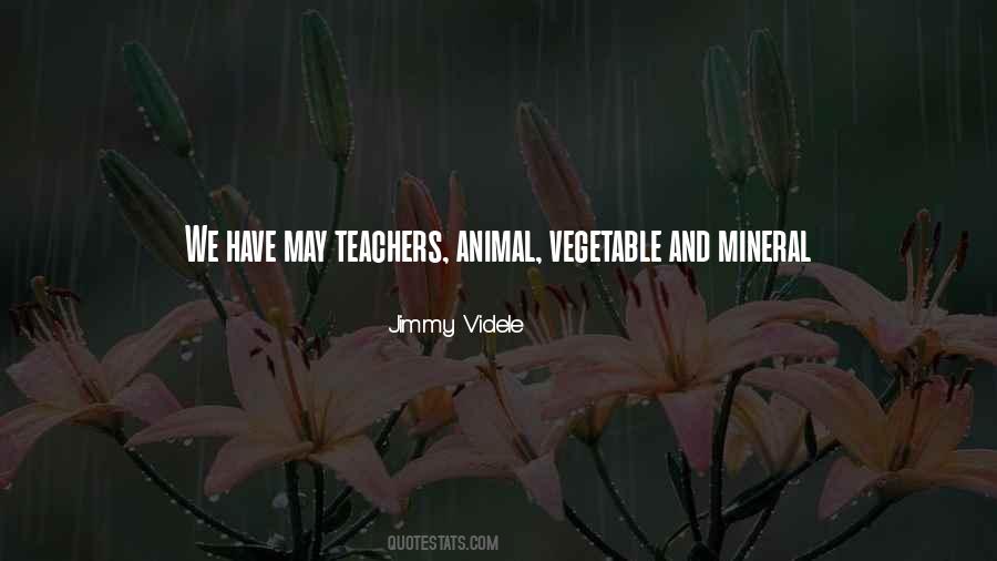 Sayings About Teachers Inspirational #902359