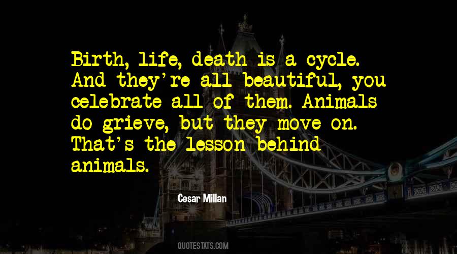 Sayings About The Cycle Of Life #1213116