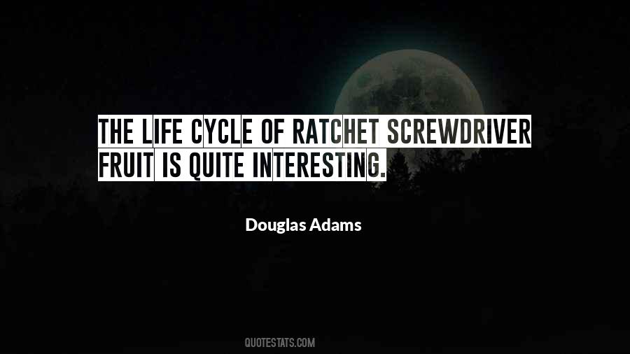 Sayings About The Cycle Of Life #358161